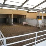 slagte grisestald i frilandskoncept